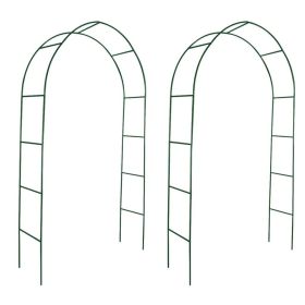 Metal Garden Arch 2 pcs Climbing Plants