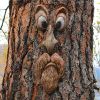 1pc Funny Tree Faces Decor, Old Man Tree Faces Yard Art